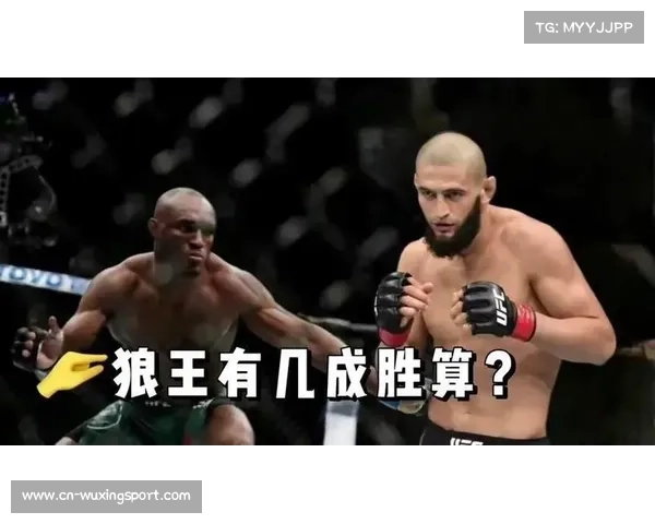 乌斯曼认为奇马耶夫叫阵佩雷拉或因不再适配中量级